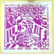 Various HOOSIER HOTSHOTS (Epilogue Records – EPI 001) USA 1992 60's compilation LP (Garage Rock, Psychedelic Rock)
